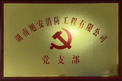 党支部
